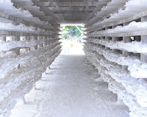 Tagawa Sangyo Factory Tour